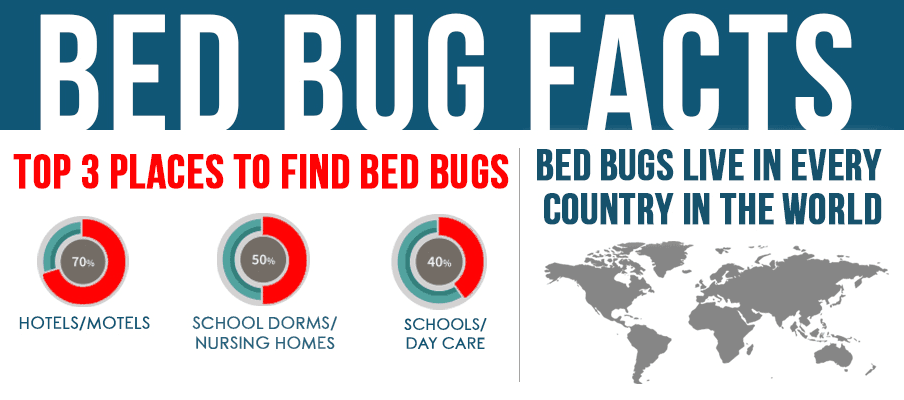 More bed bug stats & statistics for why you should contact Bed Bugs Rescue™ for bed bug extermination near Milwaukee, Racine, and Elkhorn