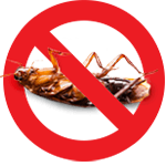 Cockroach exterminator in Southeast Wisconsin
