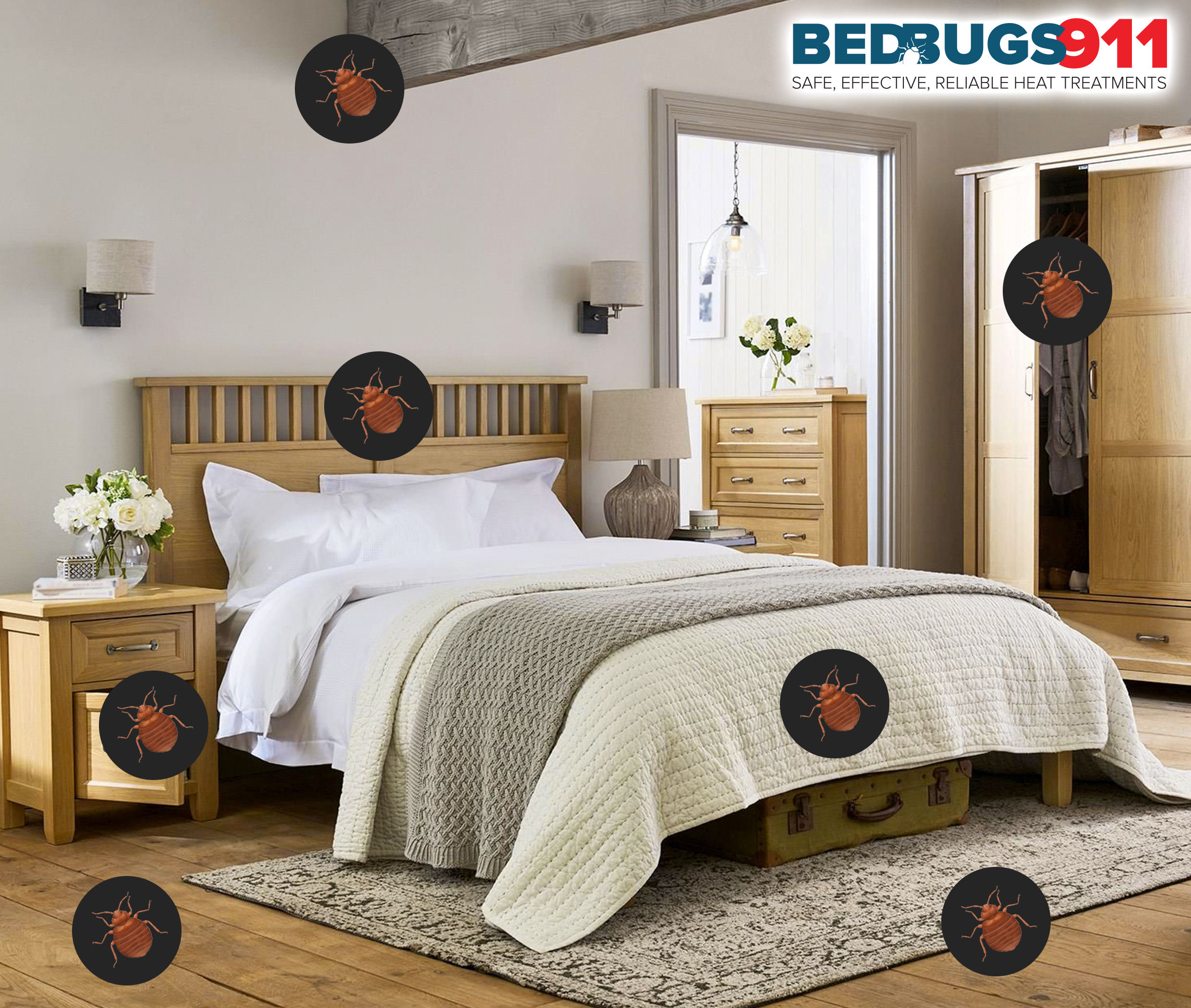 Allow the experts at Bed Bugs Rescue™ to rescue your Milwaukee area home from the dreaded bed bug