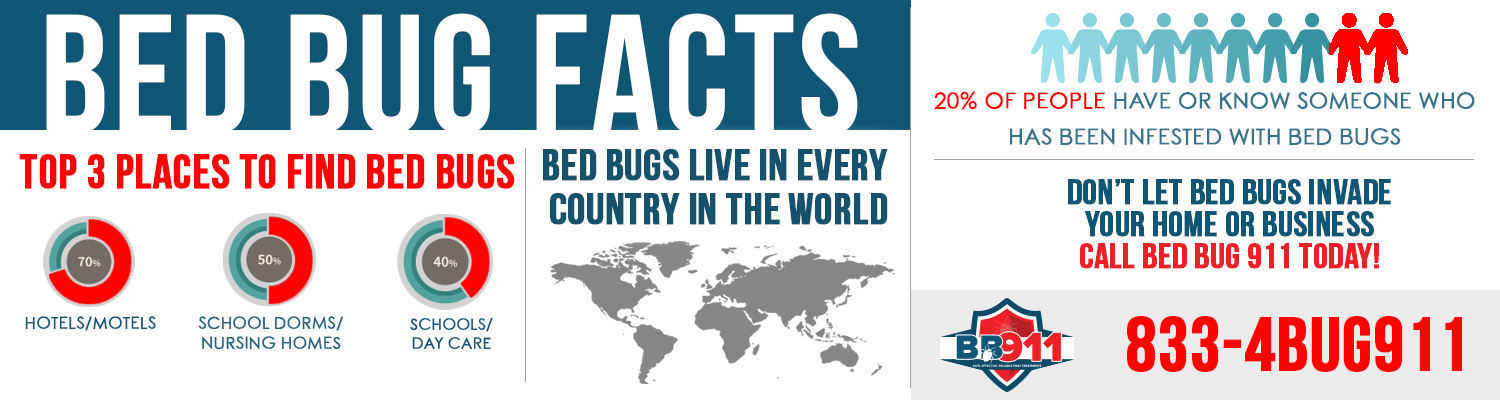 Reasons why you should call the best bed bug exterminators near Milwaukee 